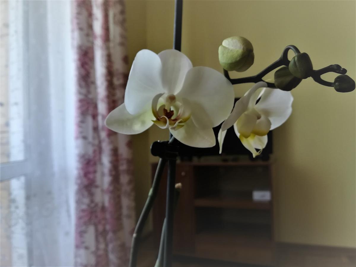 布雷斯特Apartament Na Adamkovskoy公寓 外观 照片