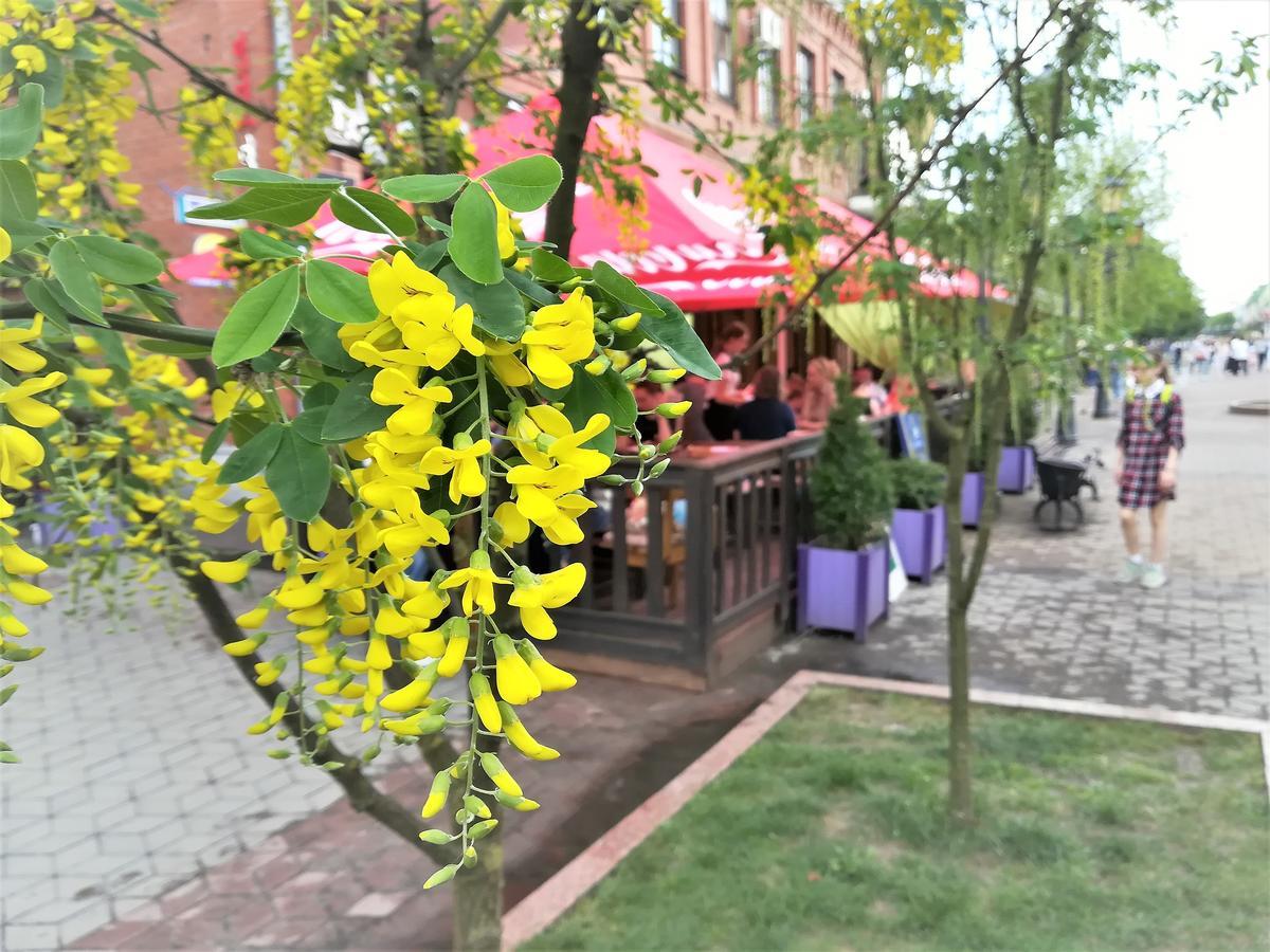 布雷斯特Apartament Na Adamkovskoy公寓 外观 照片